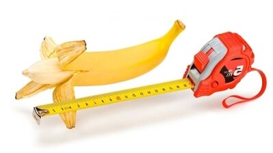 O tamaño normal do pene está entre 13 e 17 cm